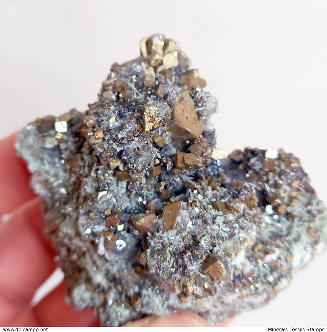 #AUG04.05 Bella PIRITE, Quarzo cristalli (Sadovoe Mine, Dalnegorsk, Primorskiy Kray, Russia)