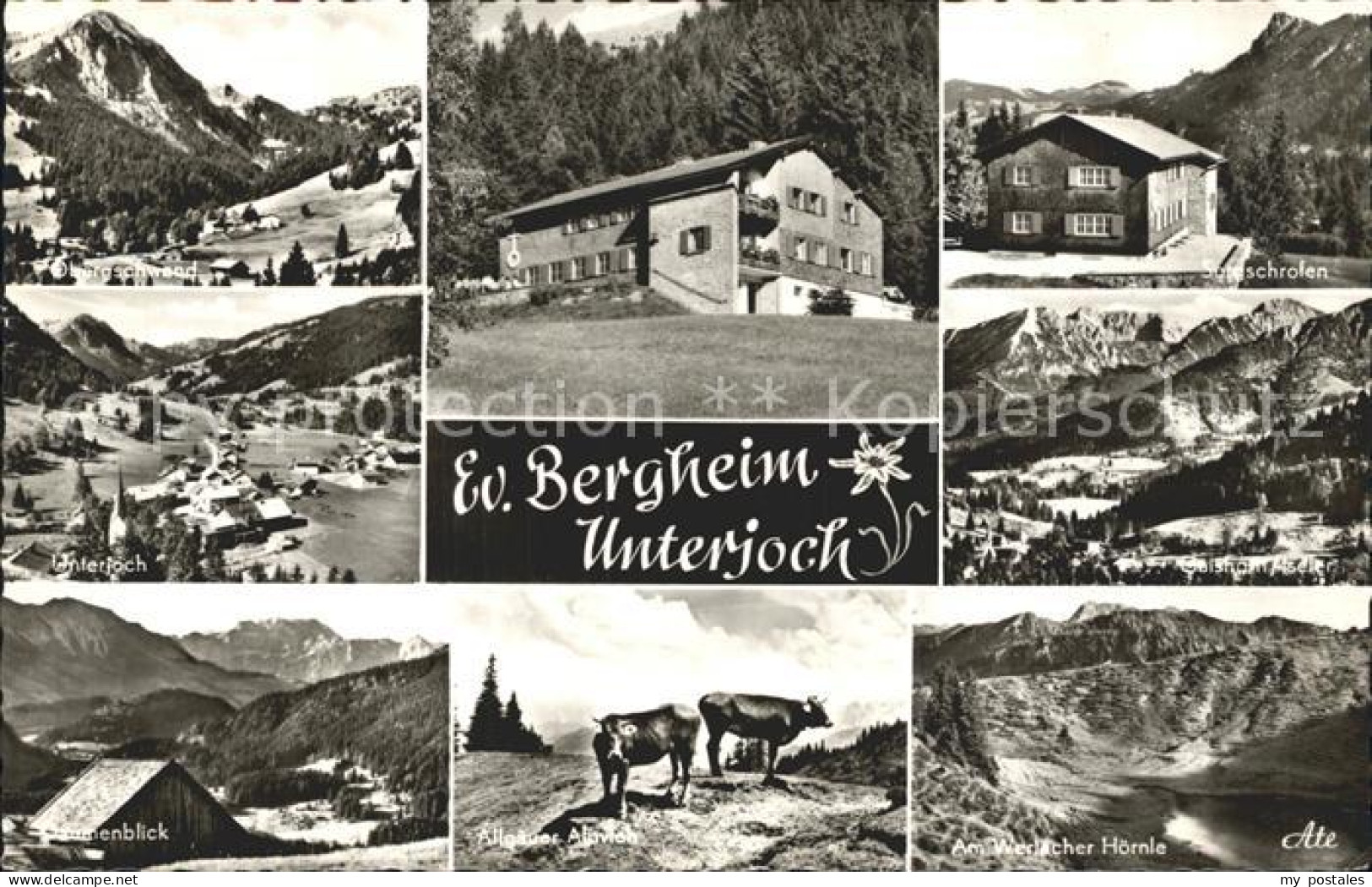 72274966 Unterjoch Obergschwand Werlacher Hoernle  Bad Hindelang - Hindelang