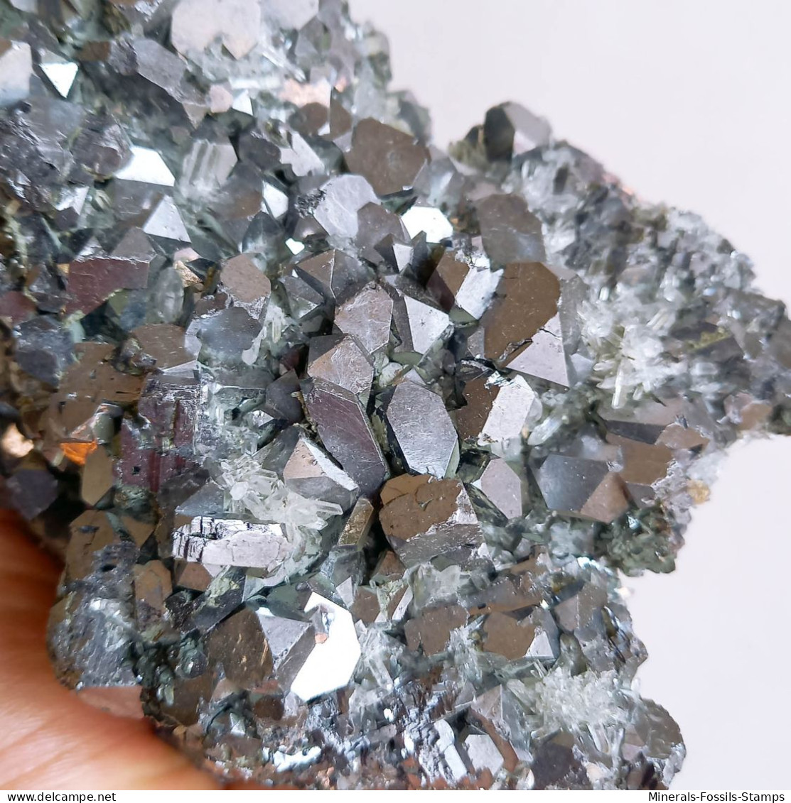 #AUG04.06 Gorgeous GALENA crystals (Verkhny Mine, Dalnegorsk, Primorskiy Kray, Russia)