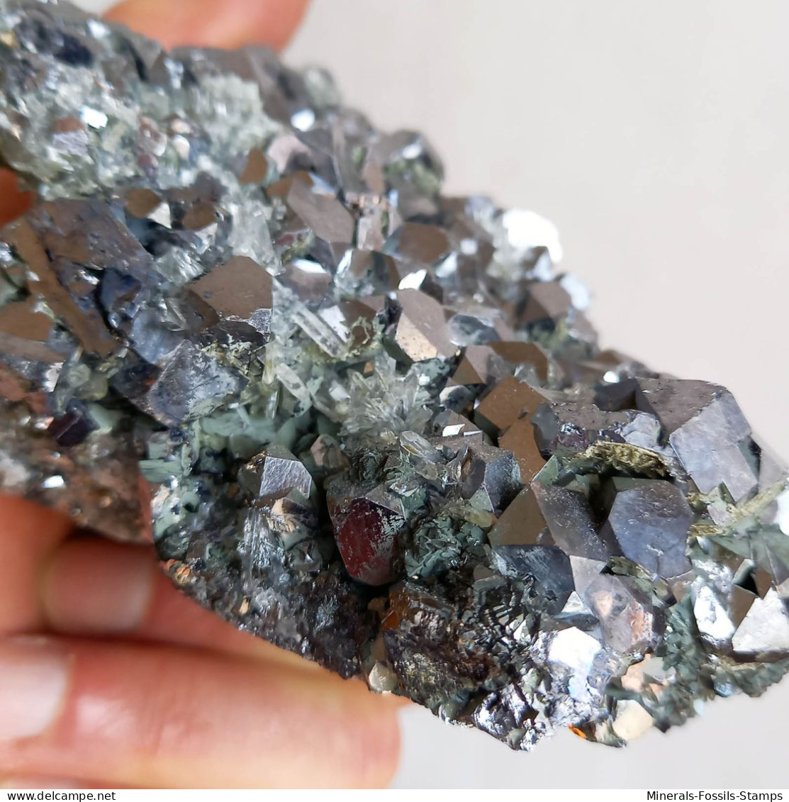 #AUG04.06 Gorgeous GALENA crystals (Verkhny Mine, Dalnegorsk, Primorskiy Kray, Russia)