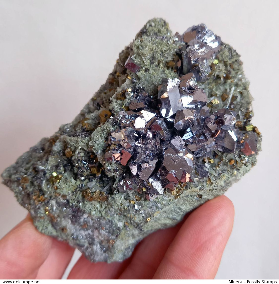 #AUG04.07 Schöne GALENIT, Pyrit, Quarz Kristalle (Nikolaevskoye Mine, Dalnegorsk, Primorskiy Kray, Russland) - Minerales