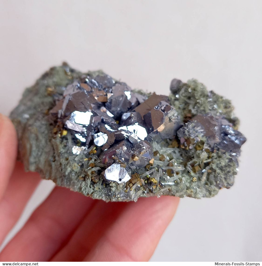 #AUG04.07 Schöne GALENIT, Pyrit, Quarz Kristalle (Nikolaevskoye Mine, Dalnegorsk, Primorskiy Kray, Russland) - Minéraux
