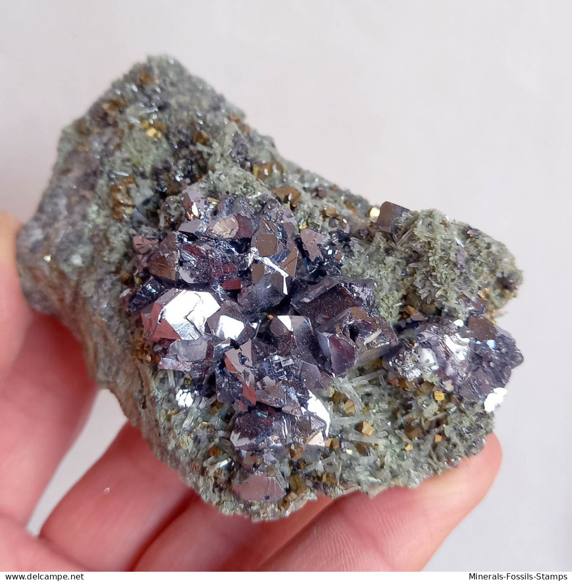 #AUG04.07 Schöne GALENIT, Pyrit, Quarz Kristalle (Nikolaevskoye Mine, Dalnegorsk, Primorskiy Kray, Russland) - Mineralen