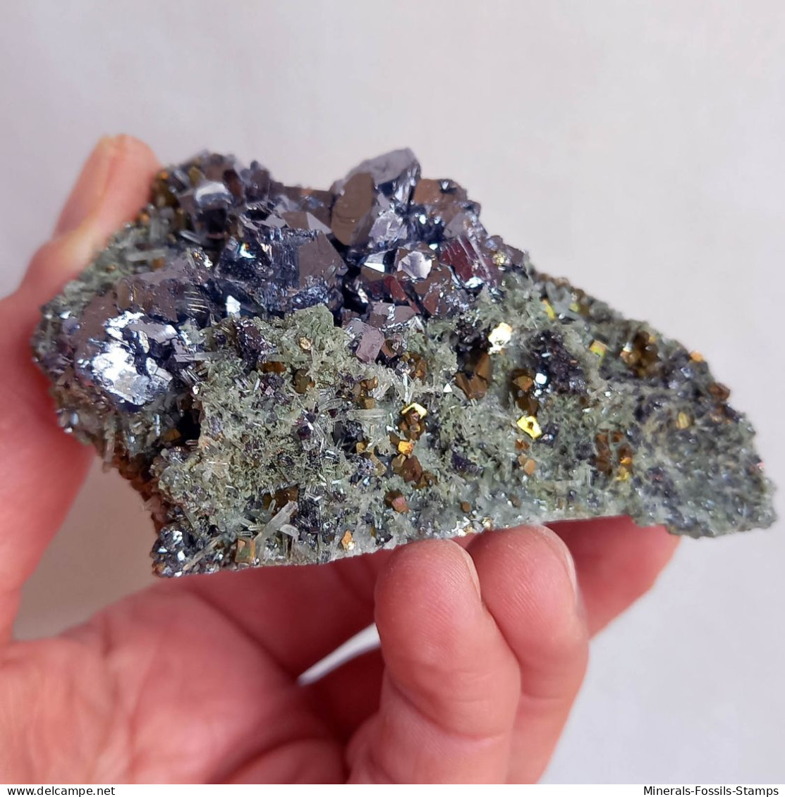 #AUG04.07 Schöne GALENIT, Pyrit, Quarz Kristalle (Nikolaevskoye Mine, Dalnegorsk, Primorskiy Kray, Russland) - Minerales