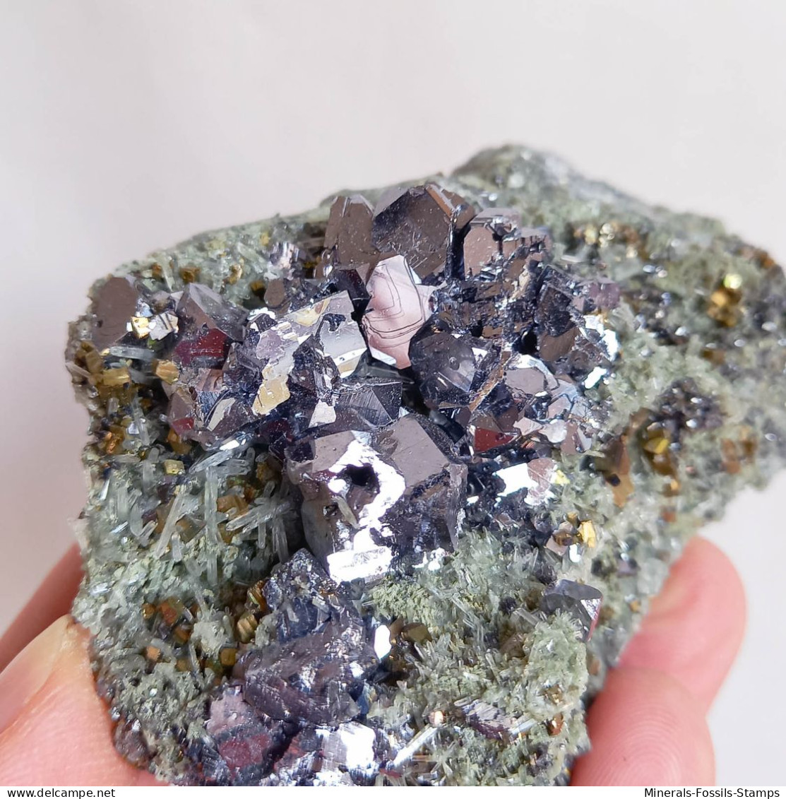 #AUG04.07 Schöne GALENIT, Pyrit, Quarz Kristalle (Nikolaevskoye Mine, Dalnegorsk, Primorskiy Kray, Russland) - Mineralen