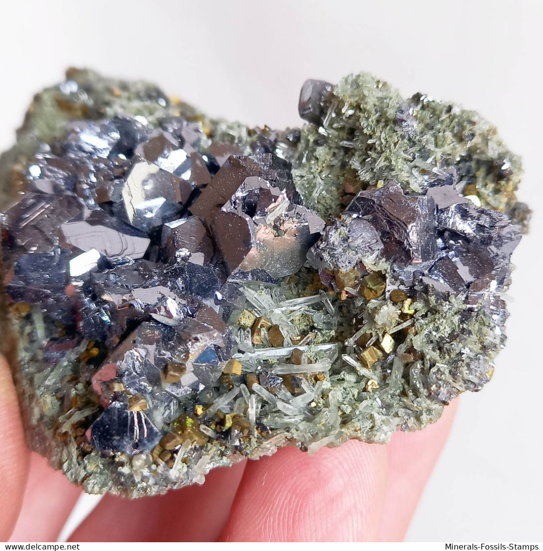 #AUG04.07 Schöne GALENIT, Pyrit, Quarz kristalle (Nikolaevskoye Mine, Dalnegorsk, Primorskiy Kray, Russland)