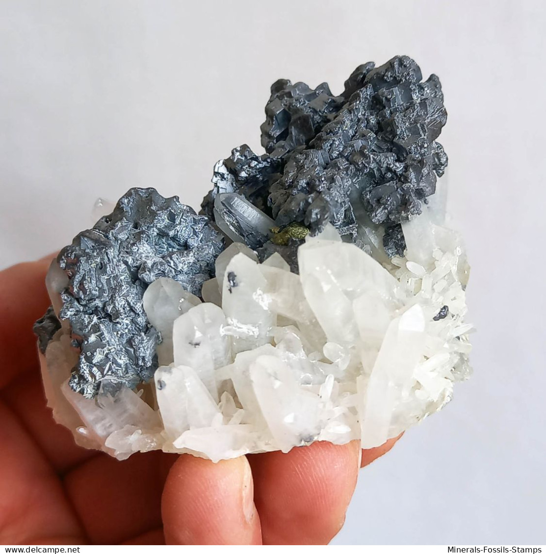 #AUG04.08 Magnifique GALÈNE, Quartz Cristaux (Nikolaevskoye Mine, Dalnegorsk, Primorskiy Kray, Russie) - Minerals