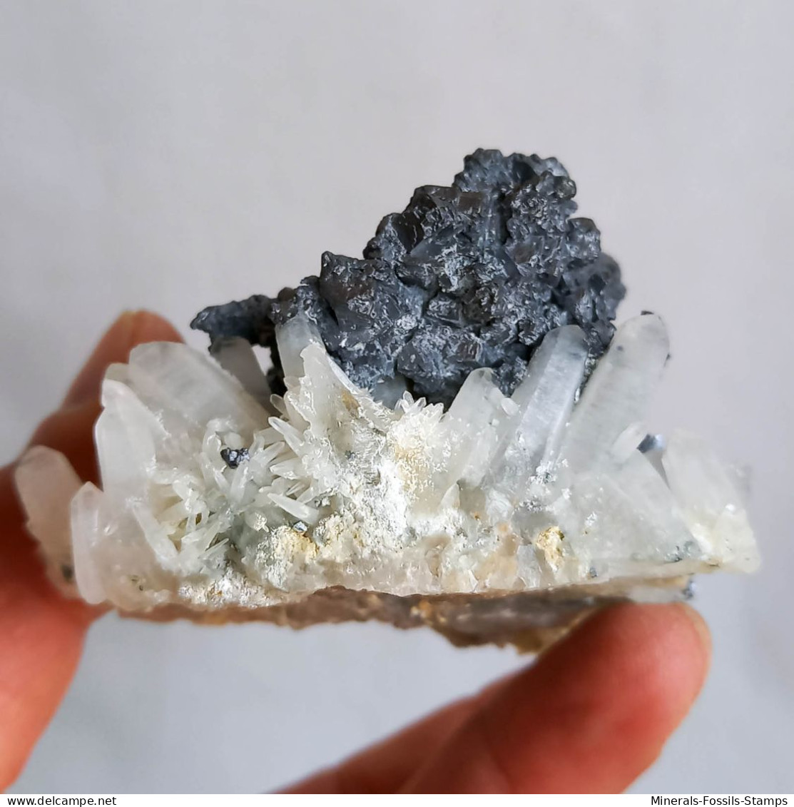#AUG04.08 Magnifique GALÈNE, Quartz cristaux (Nikolaevskoye Mine, Dalnegorsk, Primorskiy Kray, Russie)