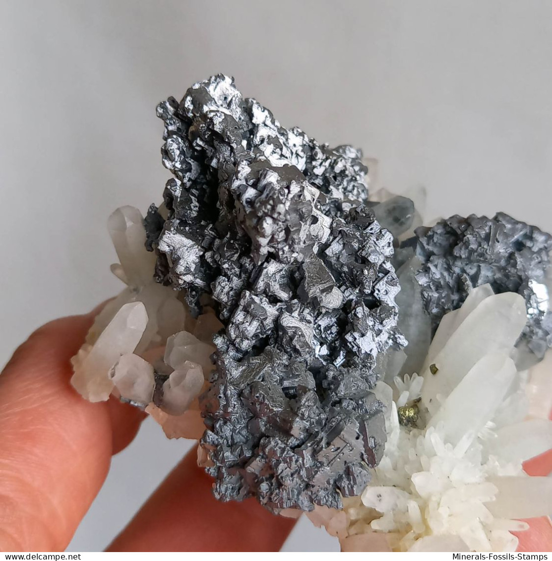 #AUG04.08 Magnifique GALÈNE, Quartz cristaux (Nikolaevskoye Mine, Dalnegorsk, Primorskiy Kray, Russie)