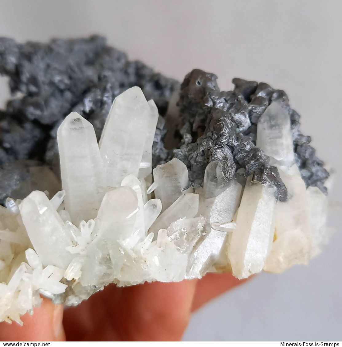 #AUG04.08 Magnifique GALÈNE, Quartz cristaux (Nikolaevskoye Mine, Dalnegorsk, Primorskiy Kray, Russie)