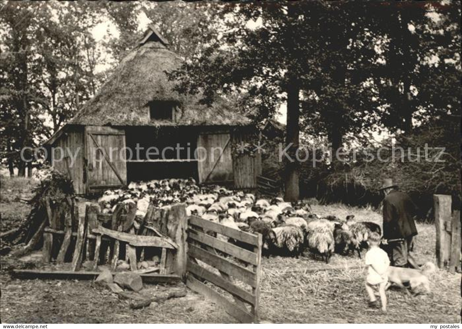 72274819 Lueneburger Heide Schafstall Herde Im Naturschutzpark Lueneburger Heide - Walsrode