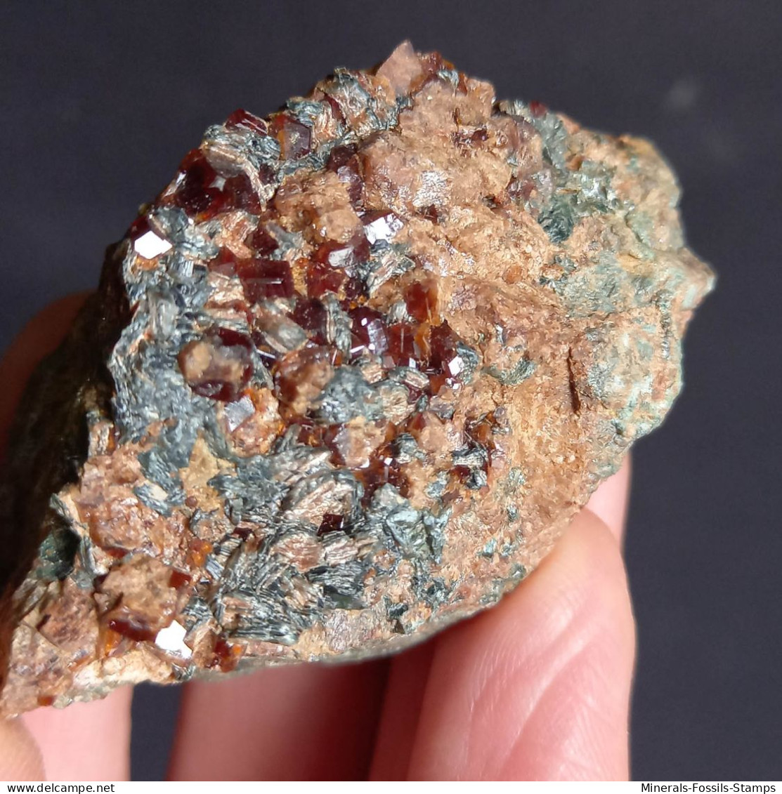 #D51 - Beau Grenat Var. HESSONITE Cristaux (Val Di Gava, Voltri, Gênes, Ligurie, Italie) - Mineralen