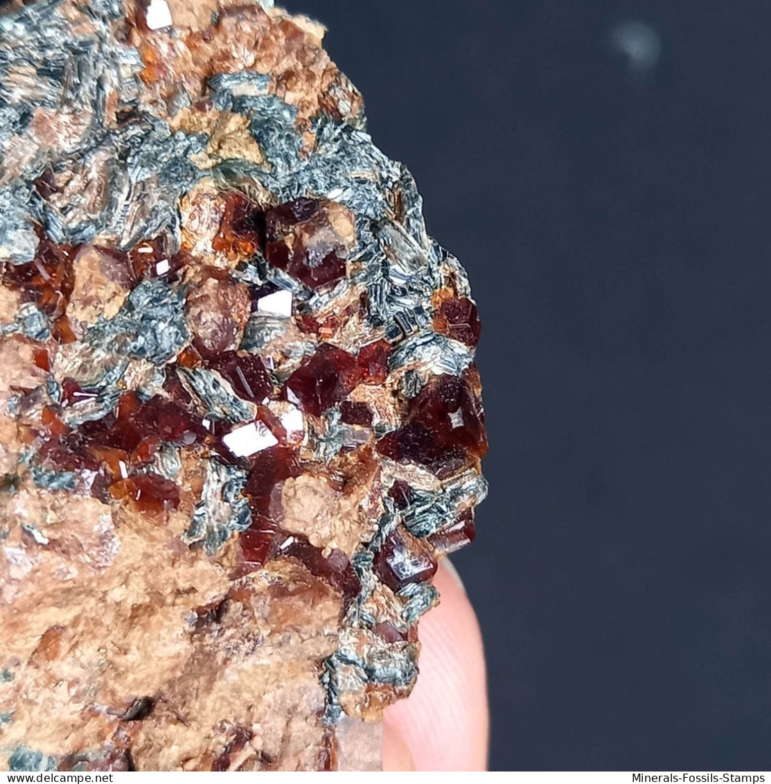 #D51 - Beau Grenat Var. HESSONITE Cristaux (Val Di Gava, Voltri, Gênes, Ligurie, Italie) - Minéraux