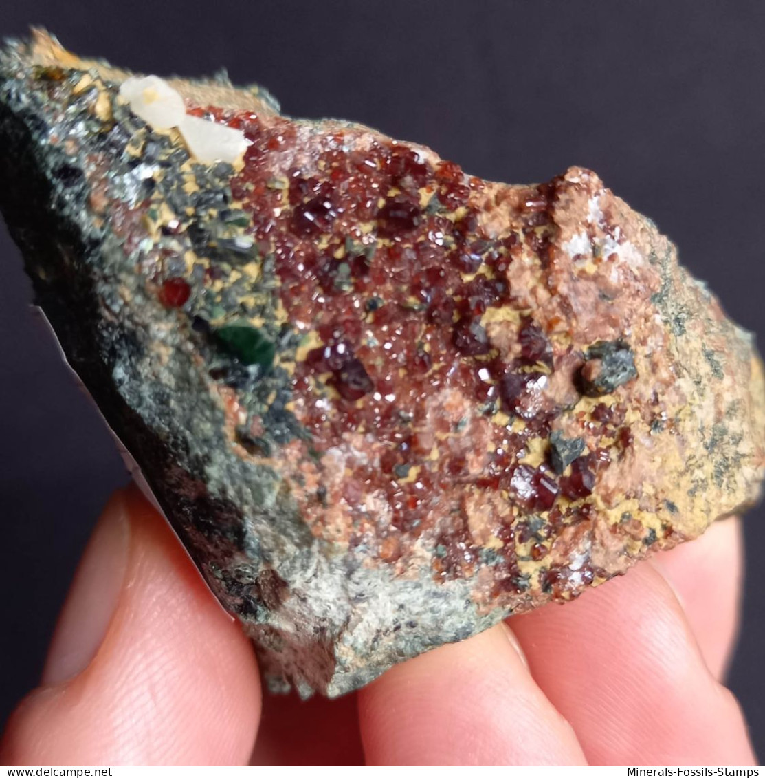 #D52 - Schöner Granat Var. HESSONIT Kristalle (Monte Argentea, Campo, Genua, Ligurien, Italien) - Minerals