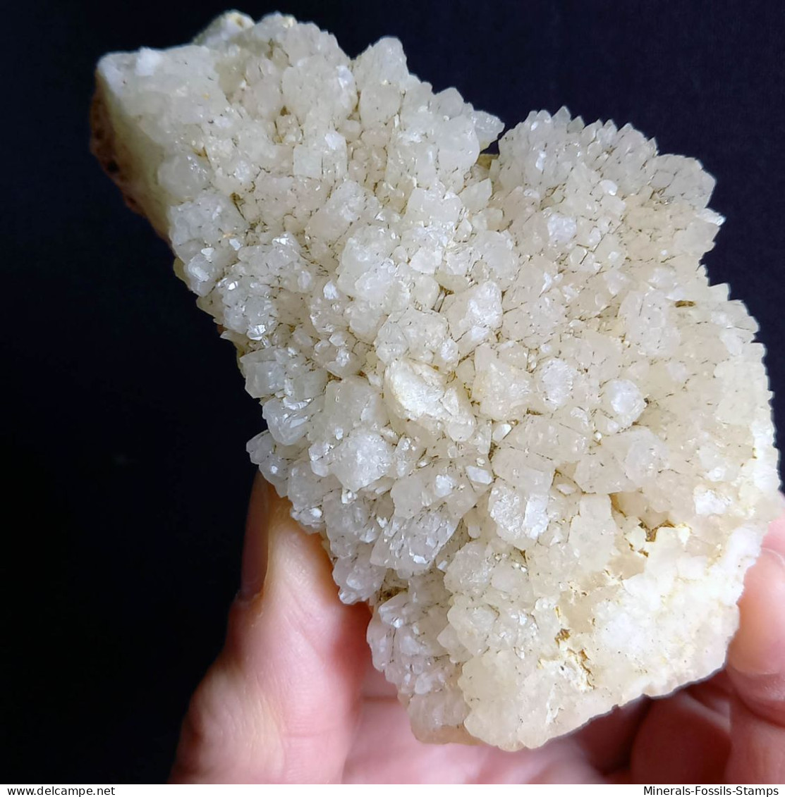 #E52 Wunderschöne COELESTIN Kristalle (Agrigento, Sizilien, Italien) - Minerals
