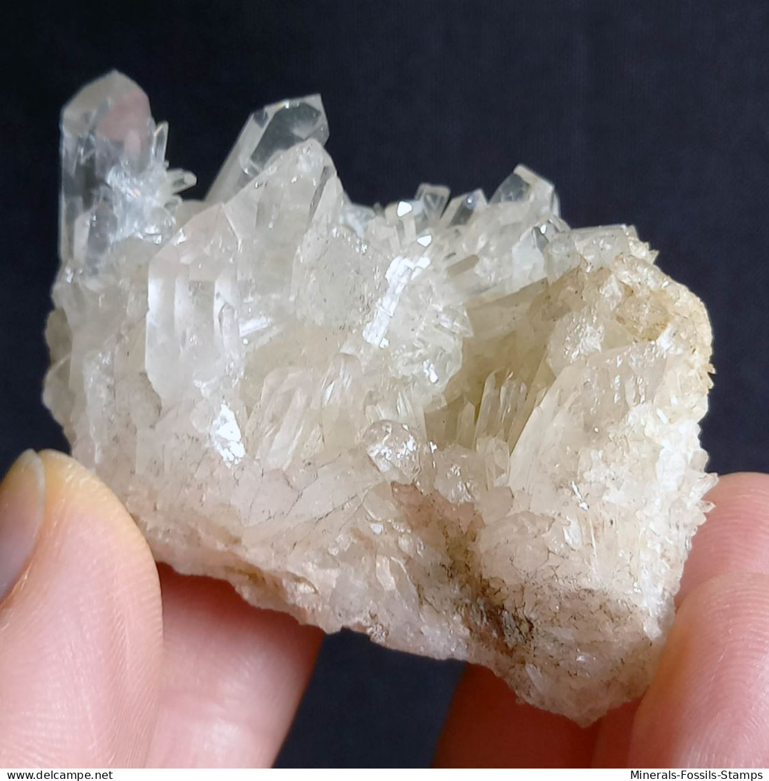 #E53 Splendido QUARZO Cristalli (Castagnola, Val D'Aveto, Piacenza, Emilia Romagna, Italia) - Mineralen