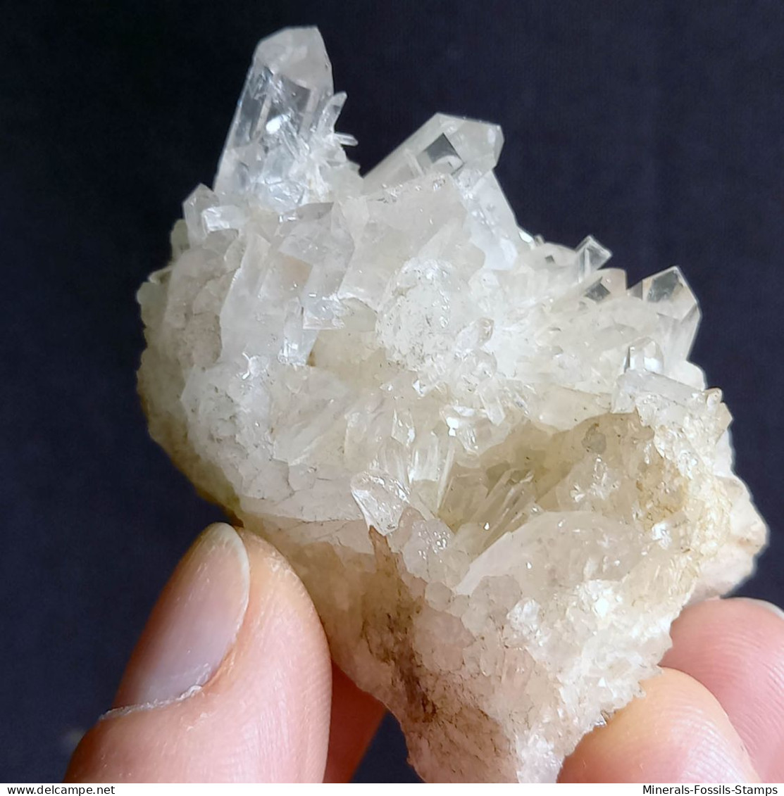 #E53 Splendido QUARZO Cristalli (Castagnola, Val D'Aveto, Piacenza, Emilia Romagna, Italia) - Mineralien