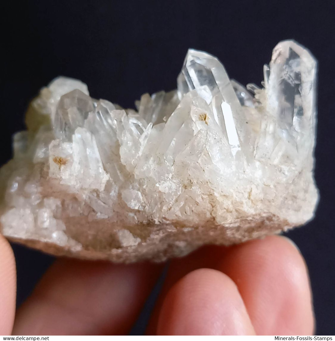 #E53 Splendido QUARZO Cristalli (Castagnola, Val D'Aveto, Piacenza, Emilia Romagna, Italia) - Minerals