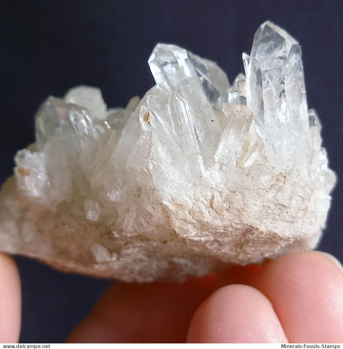 #E53 Splendido QUARZO Cristalli (Castagnola, Val D'Aveto, Piacenza, Emilia Romagna, Italia) - Mineralien