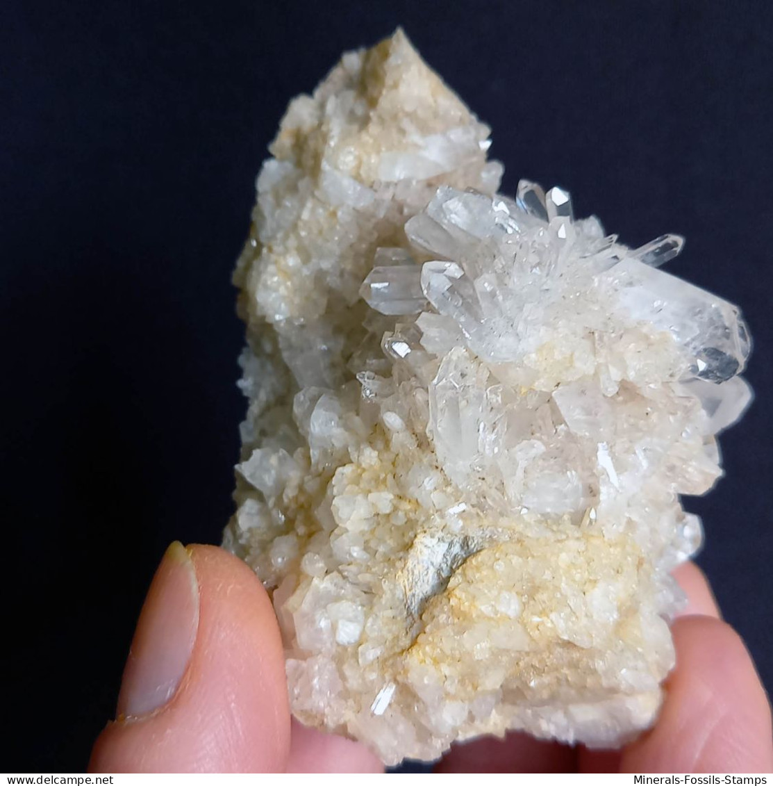 #E54 Schöne QUARZ XX (Castagnola, Val D'Aveto, Piacenza, Italien) - Mineralien
