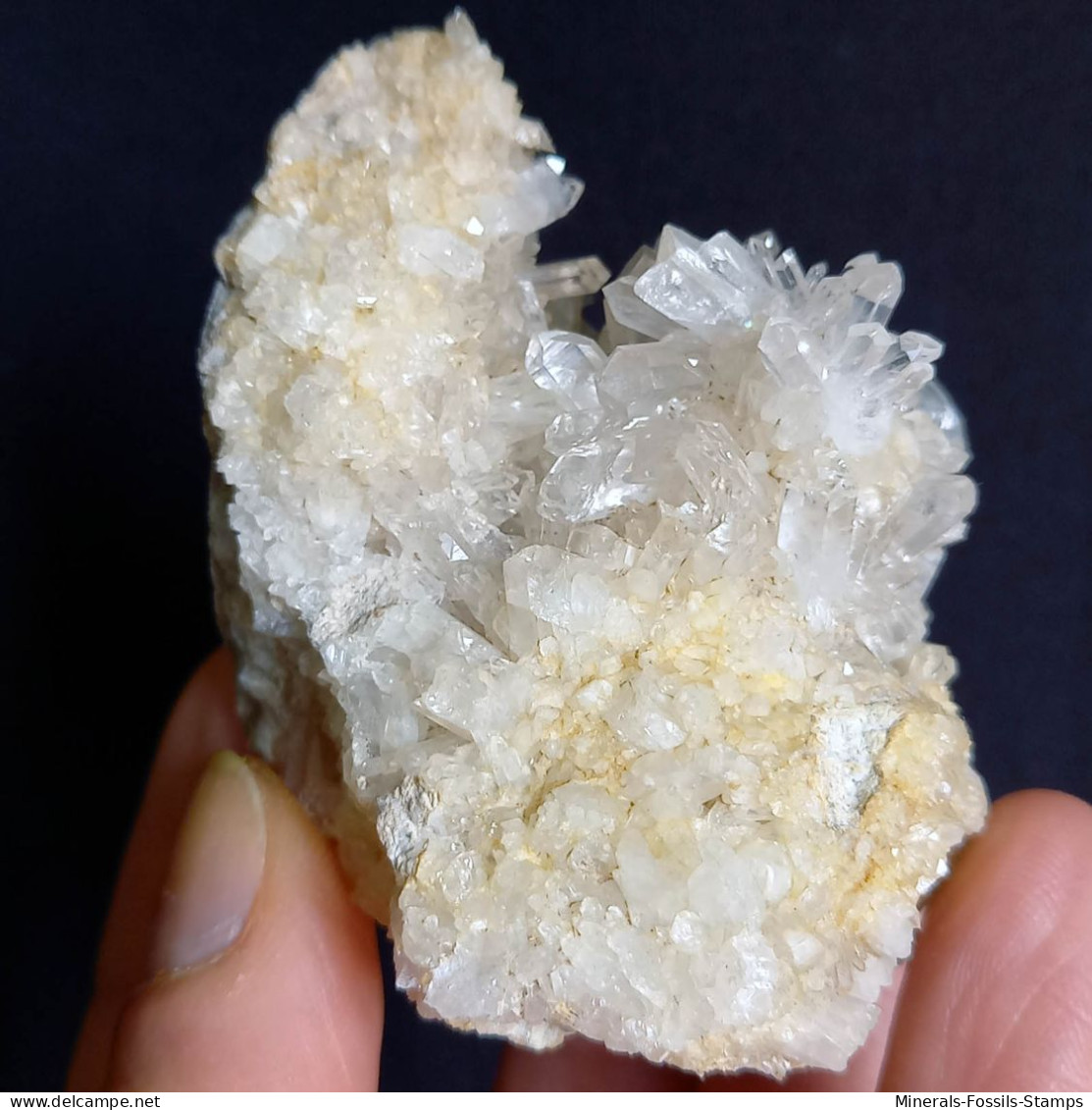 #E54 Schöne QUARZ XX (Castagnola, Val D'Aveto, Piacenza, Italien) - Minerali