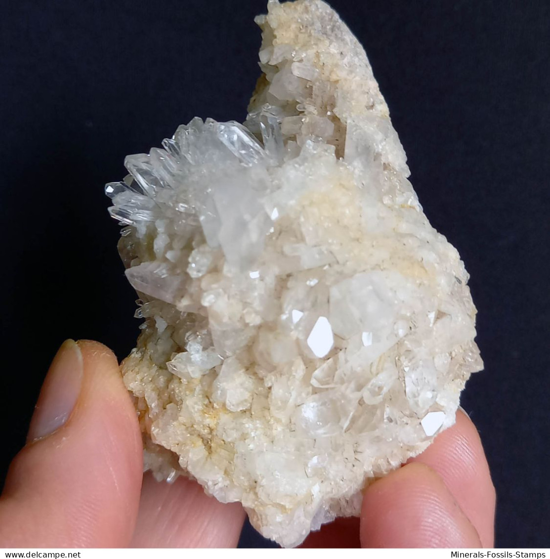 #E54 Schöne QUARZ XX (Castagnola, Val D'Aveto, Piacenza, Italien) - Mineralen