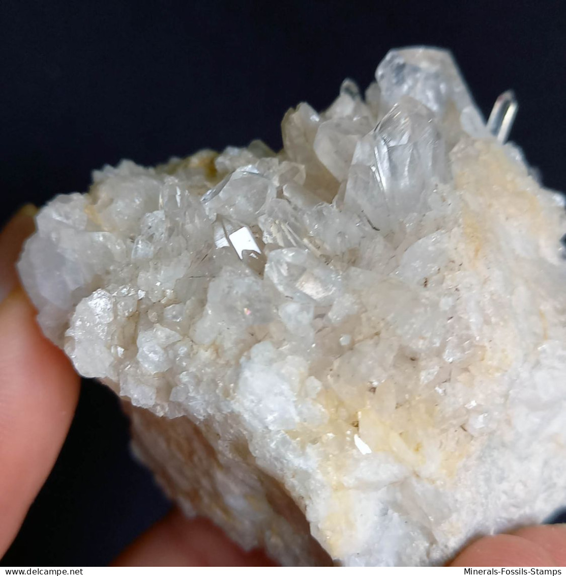 #E54 Schöne QUARZ XX (Castagnola, Val D'Aveto, Piacenza, Italien) - Minerals