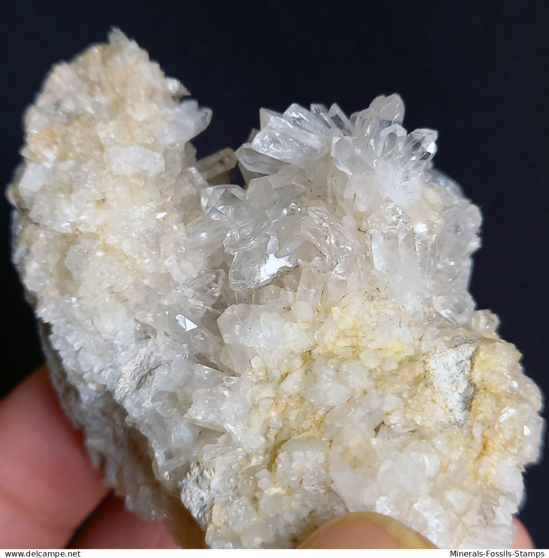 #E54 Schöne QUARZ XX (Castagnola, Val D'Aveto, Piacenza, Italien) - Mineralen