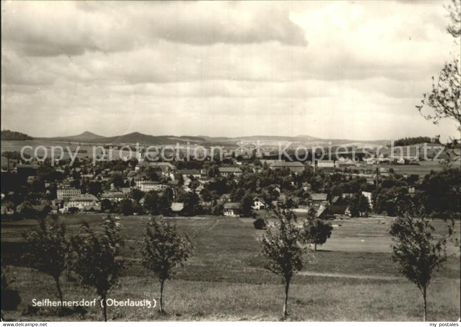 72273415 Seifhennersdorf Panorama Seifhennersdorf - Seifhennersdorf