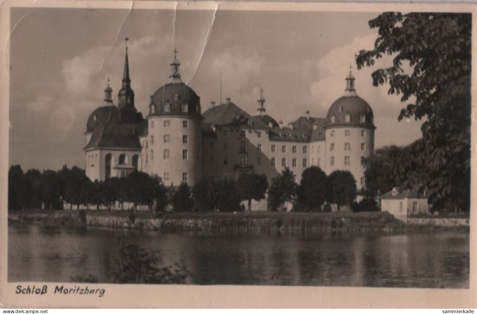 114354 - Moritzburg - Schloss - Moritzburg