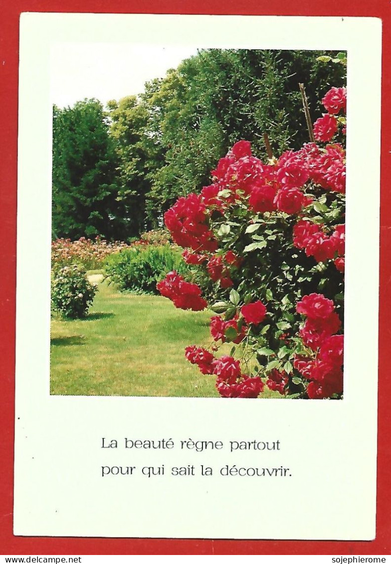 Pensée "La Beauté Règne Partout Pour Qui Sait La Découvrir." Rosier Roses Jardin 2scans - Philosophie & Pensées