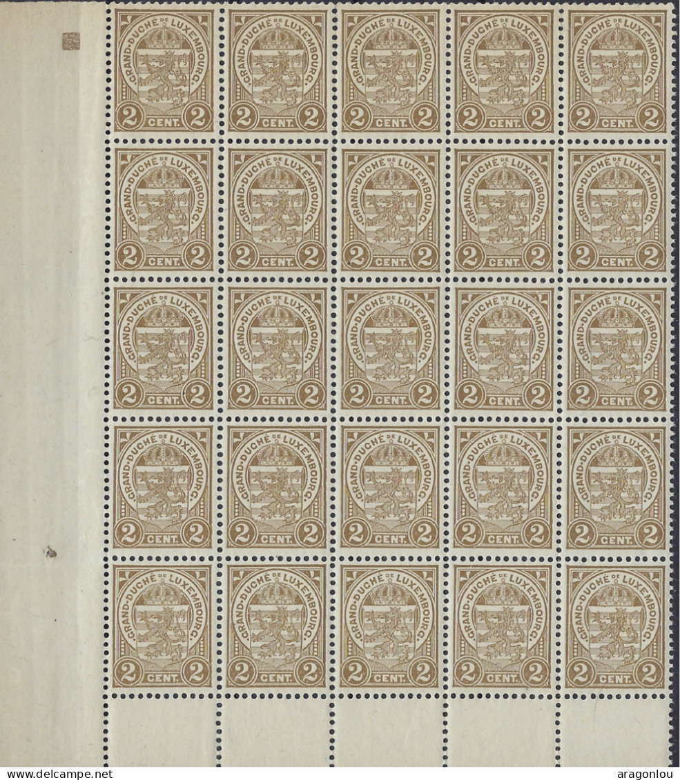Luxembourg - Luxemburg - Timbre   1907   Armoires     Bloc  25 X 2C.   MNH** - Blocks & Sheetlets & Panes