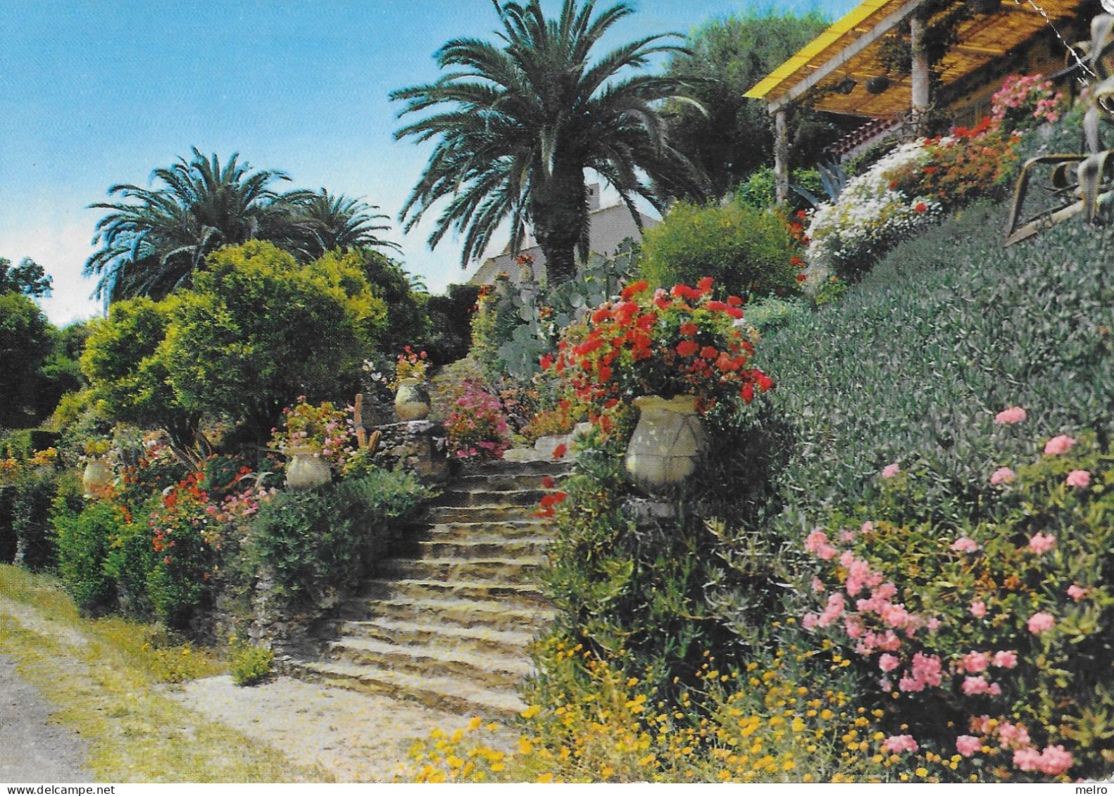 CPSM -(Dep. 83) - LA COTE D AZUR - ESCALIER FLEURI -  AU RAYOL - Rayol-Canadel-sur-Mer