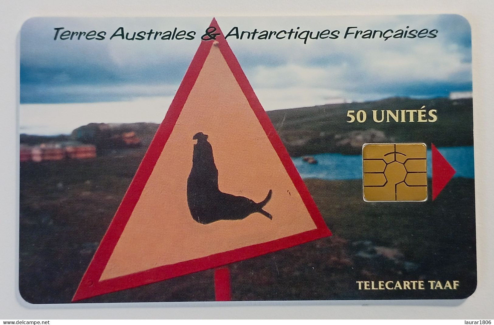 TELECARTE PHONECARD TAAF 22 - ÉLÉPHANTS DE MER - 04/2000 - TBE - TAAF - Franz. Süd- Und Antarktisgebiete