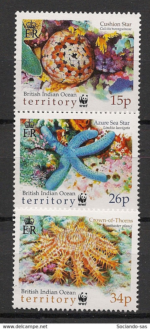 BR. INDIAN OCEAN - 2001 - N°YT. 240 à 242 - Corail / Coral / WWF - Neuf Luxe ** / MNH / Postfrisch - Territorio Britannico Dell'Oceano Indiano