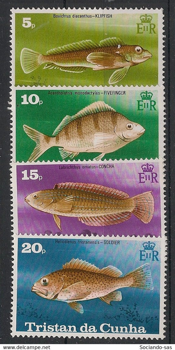 TRISTAN DA CUNHA - 1978 - N°YT. 244 à 247 - Poissons - Neuf Luxe ** / MNH / Postfrisch - Tristan Da Cunha