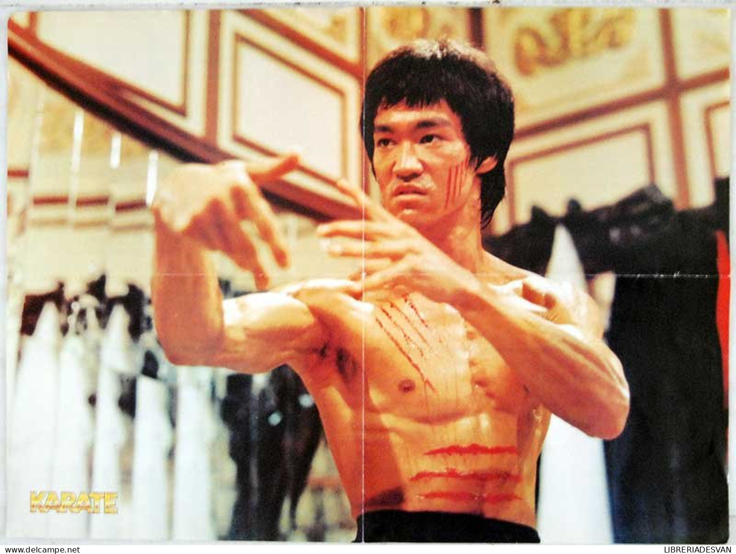 Póster De Bruce Lee De La Revista Karate 57 X 42 Cm. - Other & Unclassified