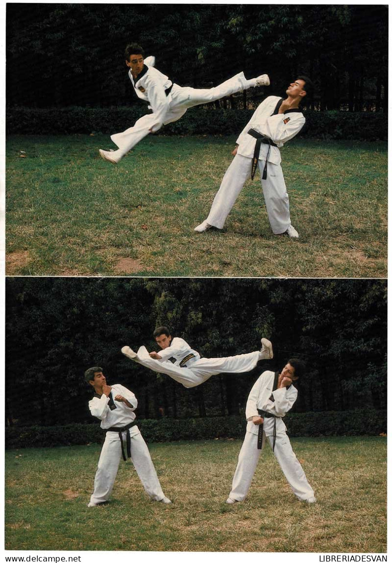 Poster Campeones Taekwondo 1987 J. M. Sánchez, John R. Wright Y Jesús Tortosa - Other & Unclassified