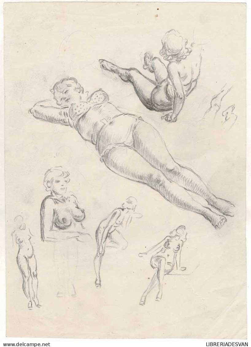 Dibujo A Lápiz Mujer Sobre Roca Y Bocetos De Desnudos Femeninos. Artista Por Identificar - Arte Contemporáneo