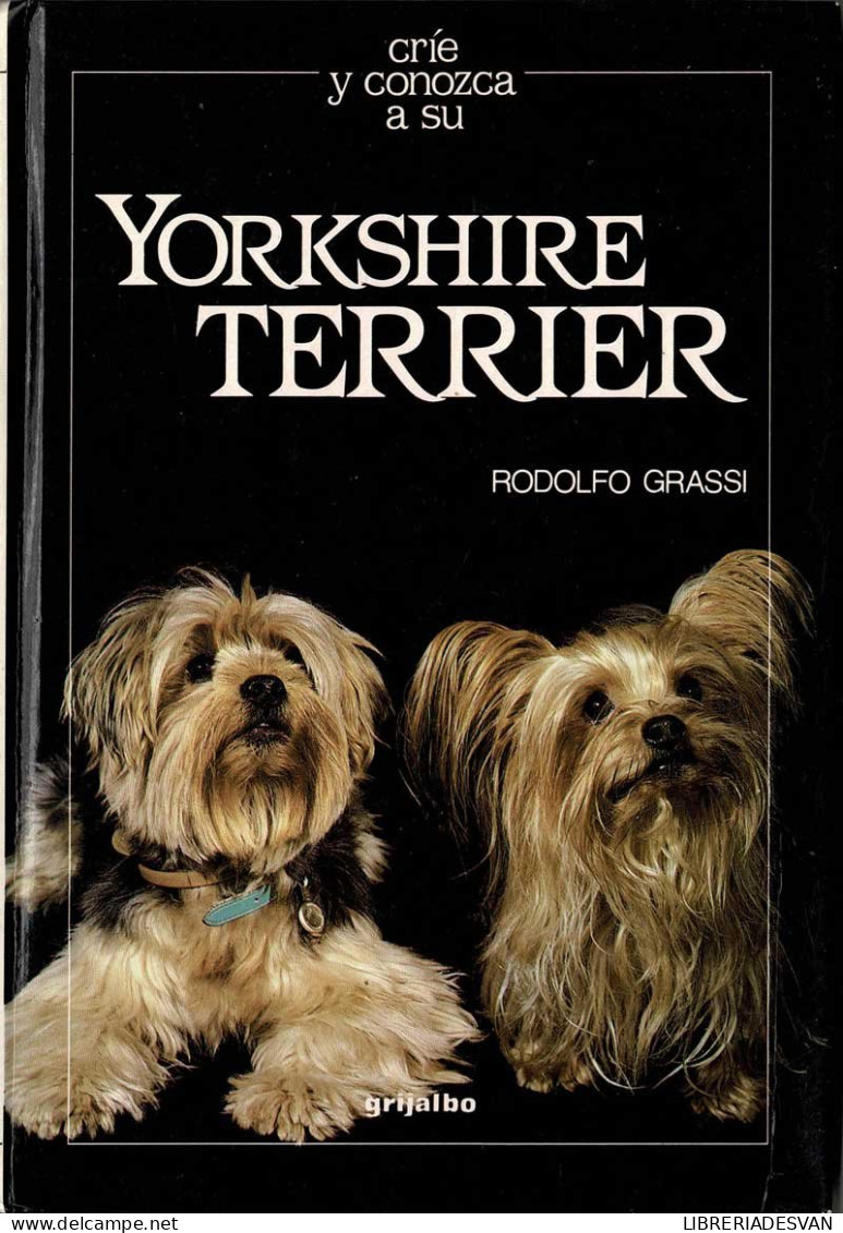 Críe Y Conozca A Su Yorkshire Terrier - Rodolfo Grassi - Altri & Non Classificati