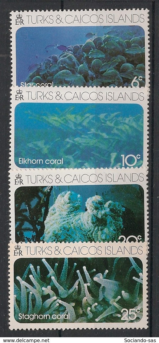 TURKS & CAICOS - 1975 - N°YT. 347 à 350 - Corals - Neuf Luxe ** / MNH / Postfrisch - Turks & Caicos (I. Turques Et Caïques)
