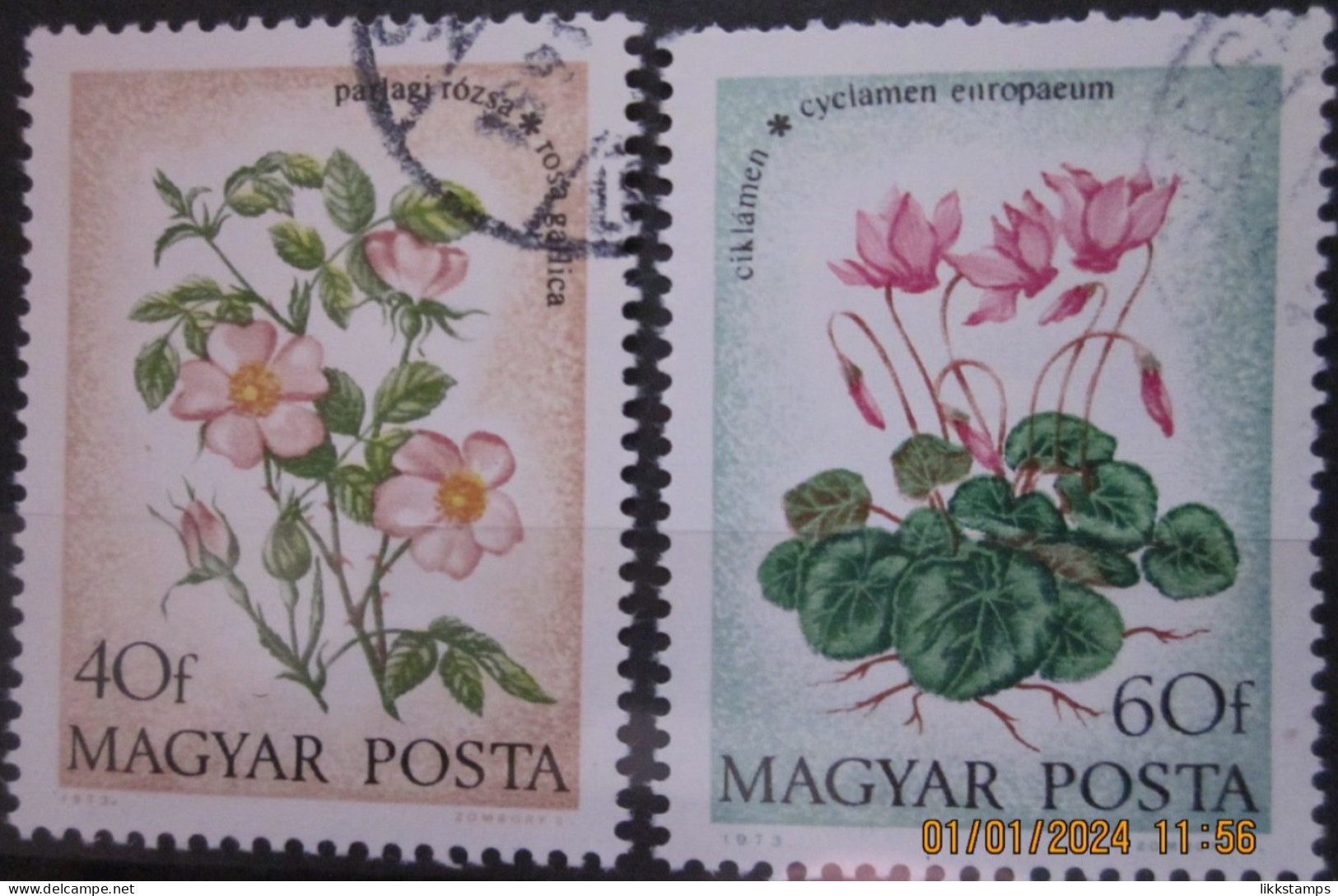 HUNGARY ~ 1973 ~ S.G. NUMBER 2820 - 2821 ~ WILD FLOWERS. ~ VFU #01564 - Usado