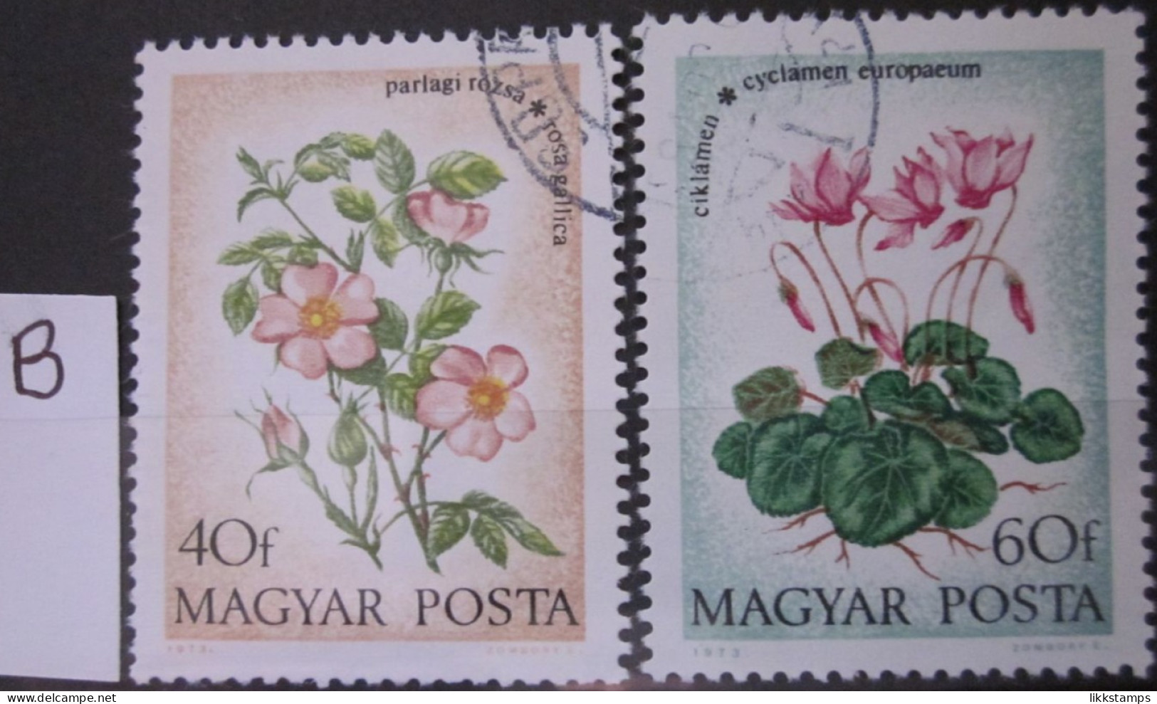 HUNGARY ~ 1973 ~ S.G. NUMBER 2820 - 2821 ~ 'LOT B' ~ WILD FLOWERS. ~ VFU #01565 - Used Stamps