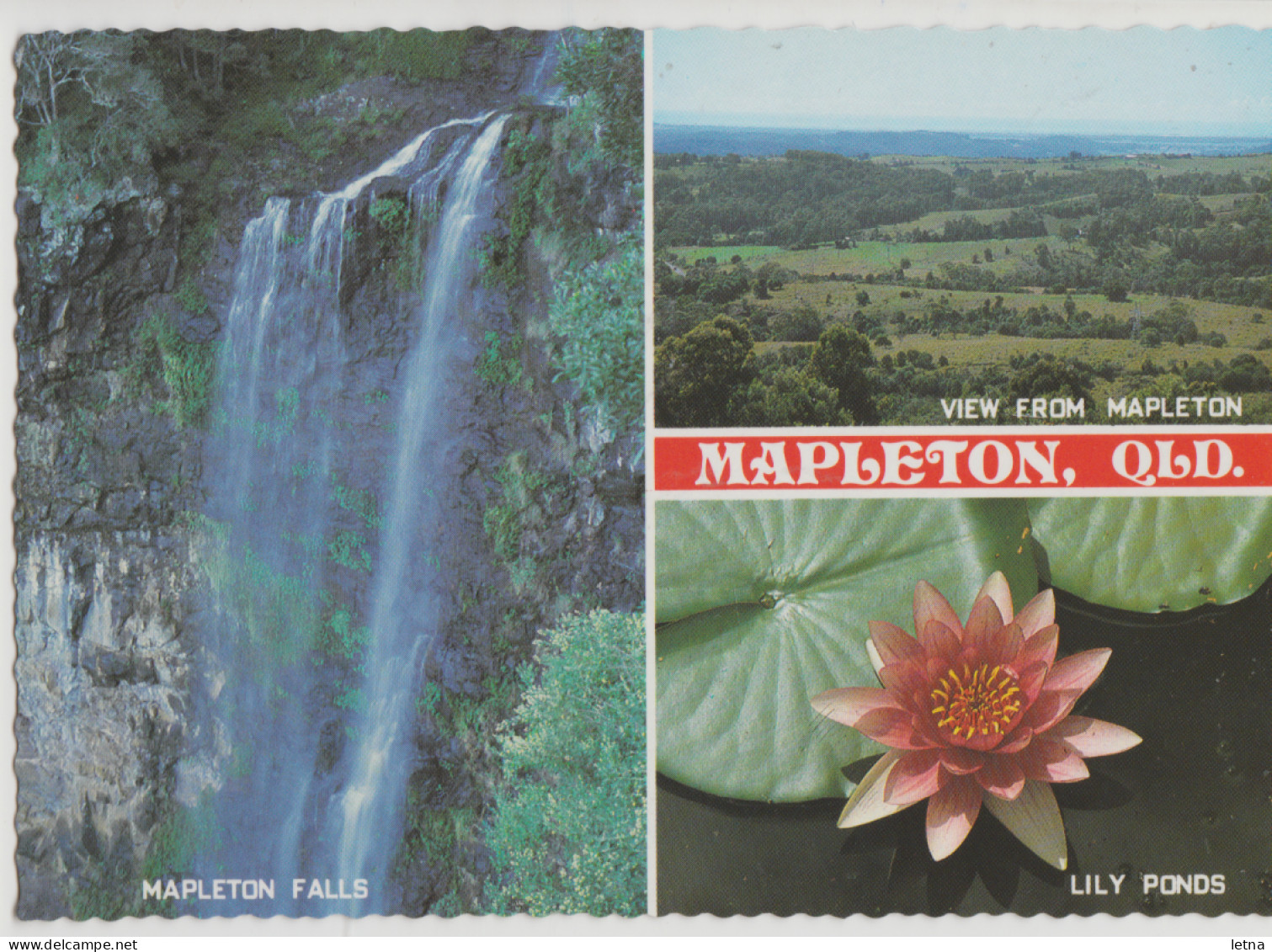 Australia QUEENSLAND QLD Waterfall Lily View Of MAPLETON Wren 435 Multiview Postcard C1970s - Sunshine Coast