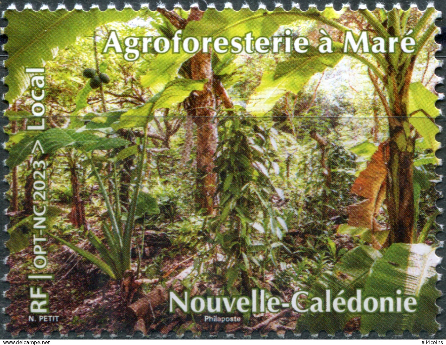 New Caledonia 2023. Agroforestry In Maré (MNH OG) Stamp - Unused Stamps