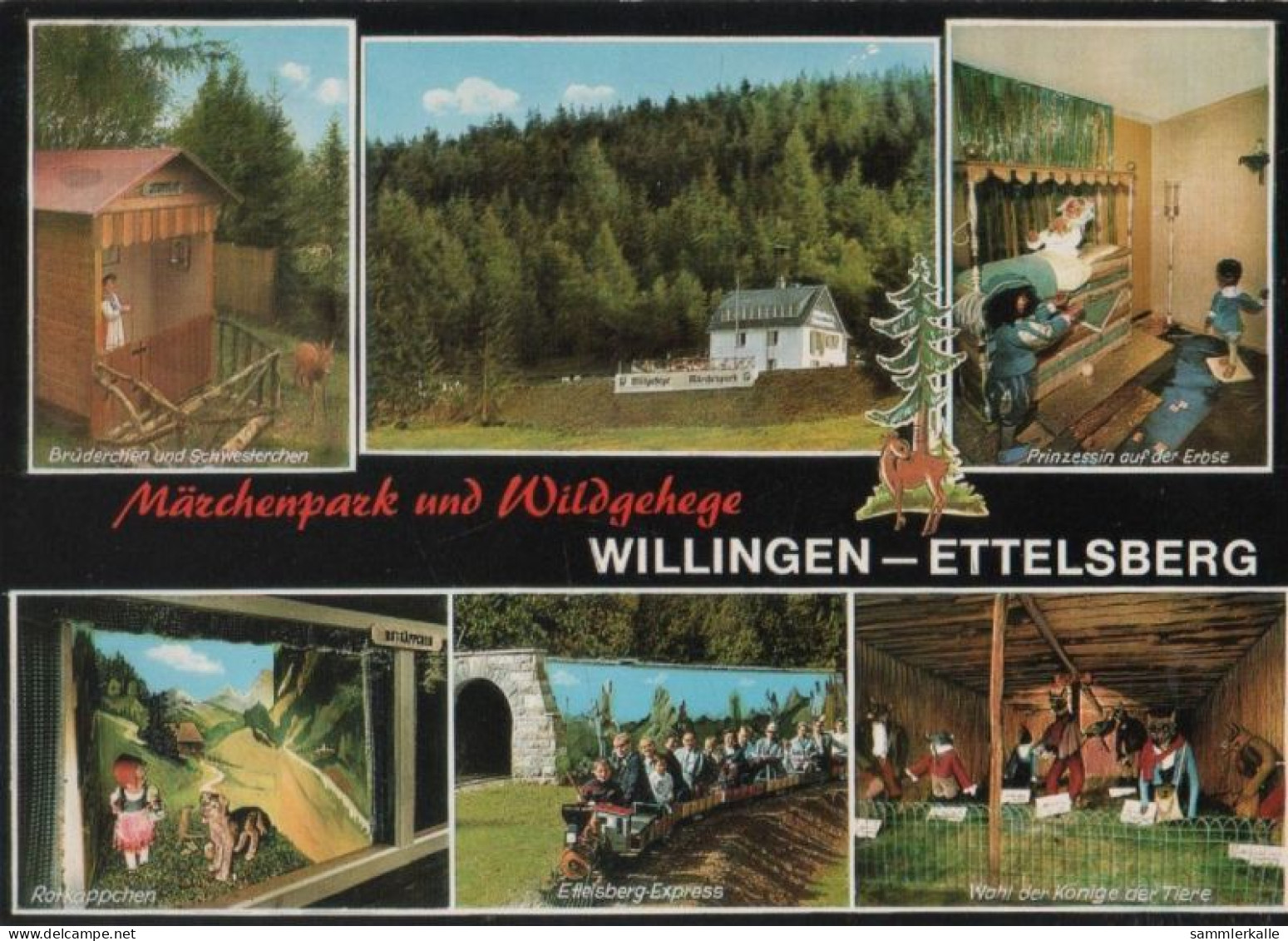 97713 - Willing - 1973 - Waldeck