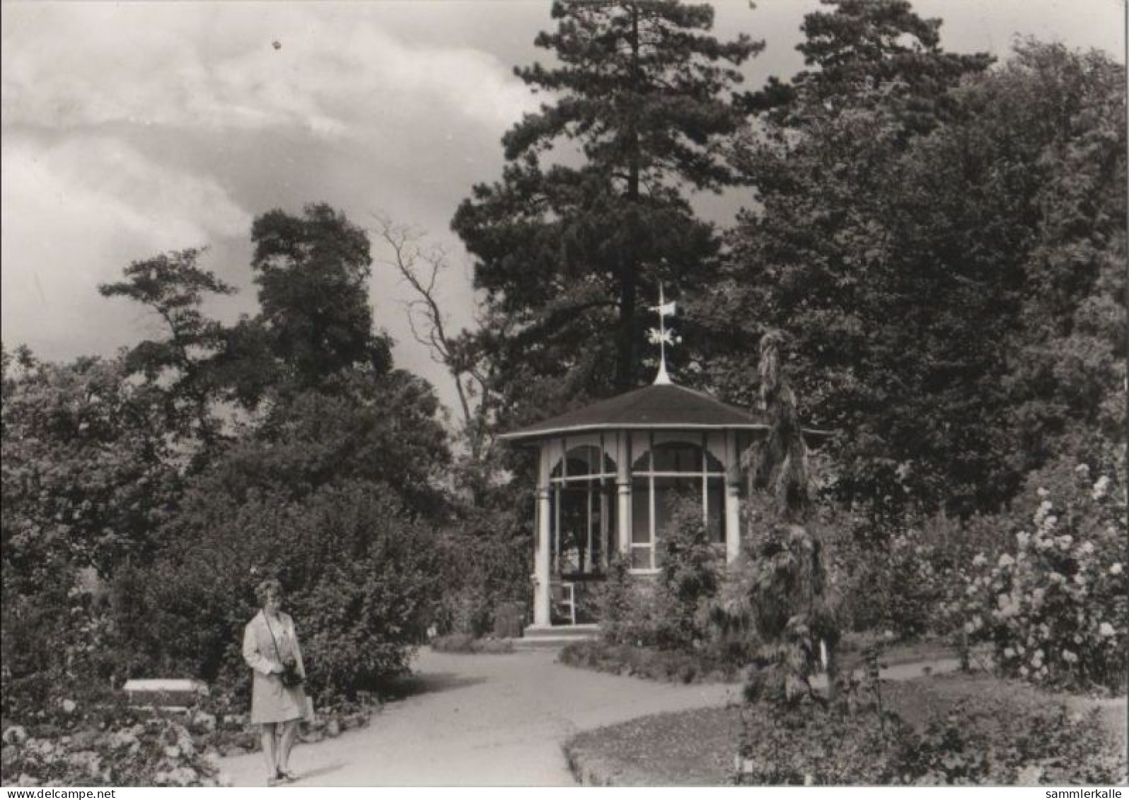 81456 - Sangerhausen - Im Rosarium - 1981 - Sangerhausen