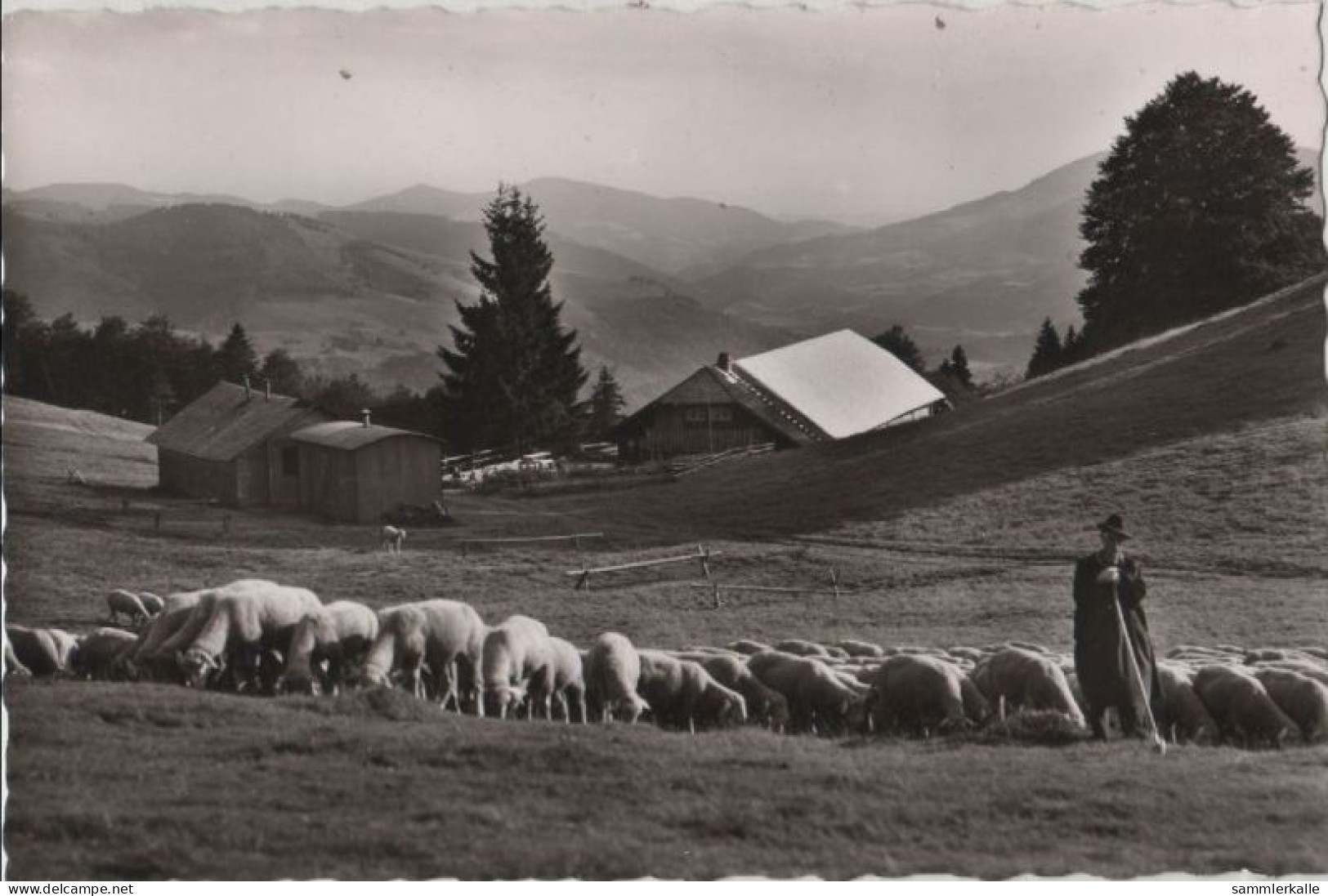 94820 - Schönau - Berghotel Wiedener Eck - Loerrach