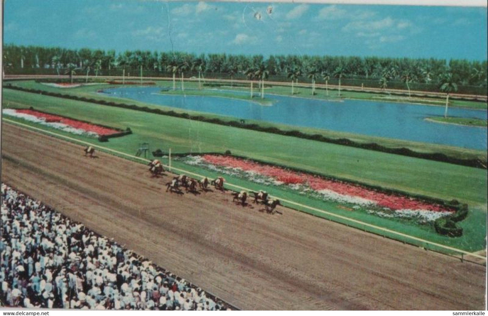 93171 - USA - Hialeah - Race Course - Ca. 1970 - Other