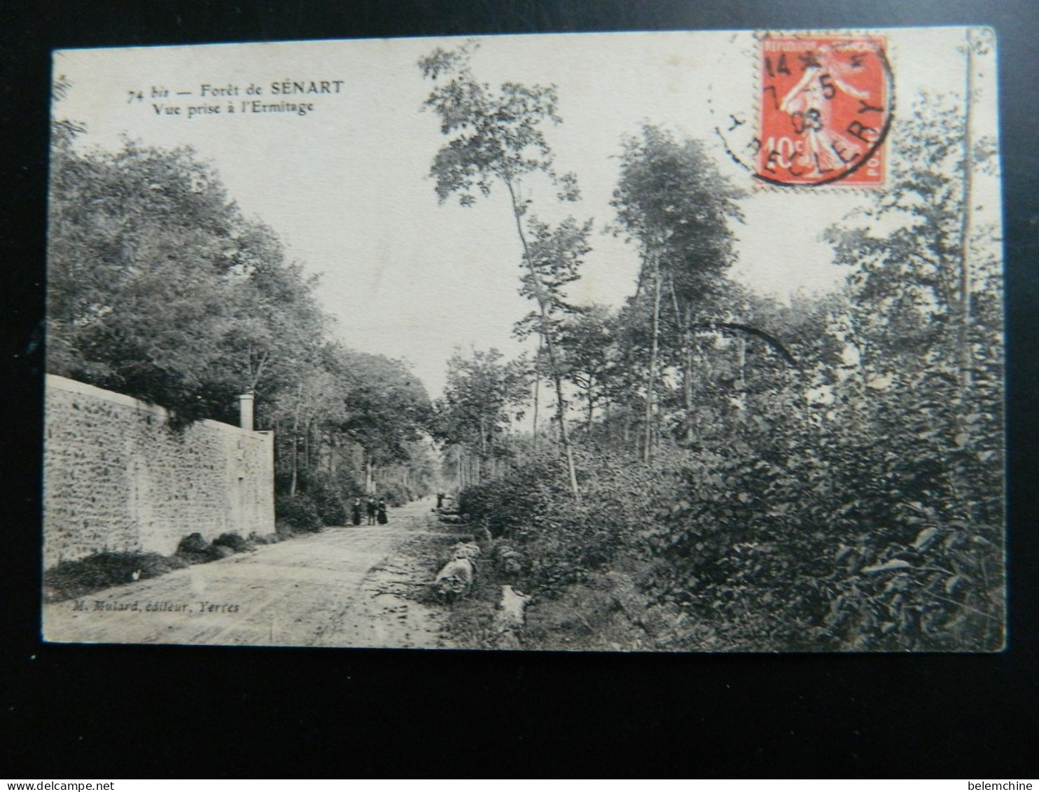 FORET DE SENART                       VUE PRISE A L'ERMITAGE - Sénart